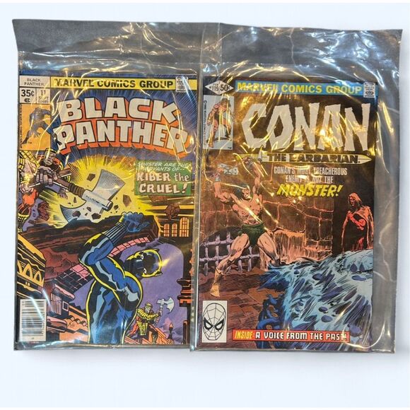 Marvel Black Panther and Conan the Barbarian Comic Books - Picture 1 of 7